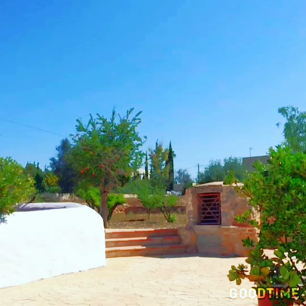 ibiza◀︎◀︎の記事動画