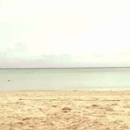 最近のMovieその2。の記事動画