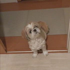 あるとき～ないとき!の画像