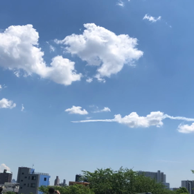 ブルーインパルス‼️の画像