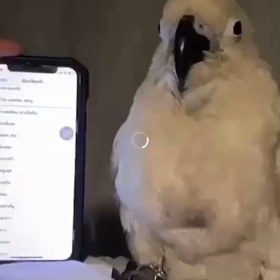 天才♬（＾Ｏ＾）♬の画像
