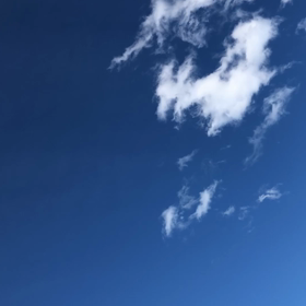 誰も経験した事のない暑さの夏になるでしょうの画像