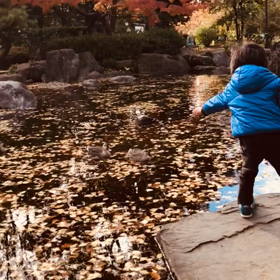 エールを君に。。。の画像