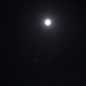 夜ラン　ε=ε=ε=ε=ε=ε=┌(;￣◇￣)┘の画像