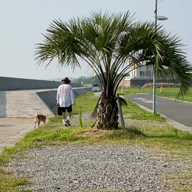 気になる存在〜挨拶の関係の画像