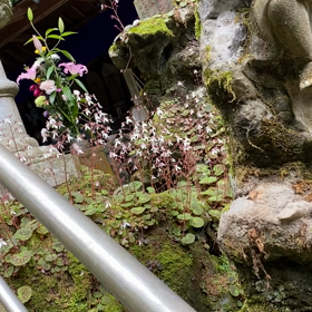 風の感覚の画像