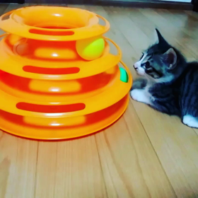 疲れしらずの画像