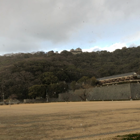 雪が降るの画像