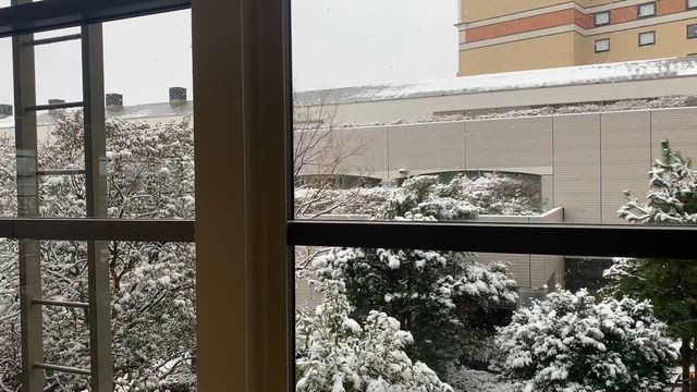 SAPIX６年生が始まる前にの記事動画