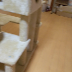 楽しめたかなー？の画像