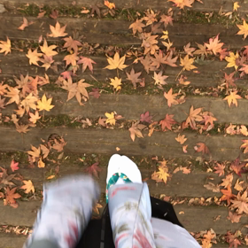 もみじ狩り〜用作公園の画像