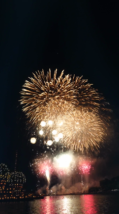 今年の夏の記事動画