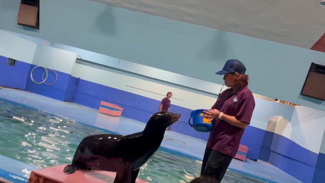 旅行1日目②の記事動画