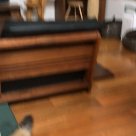 ハンター養成訓練の画像