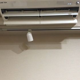 サイベリアンの鳴き声の画像