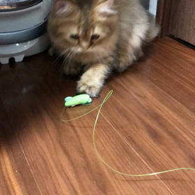 はじめての パタパタとんぼの画像