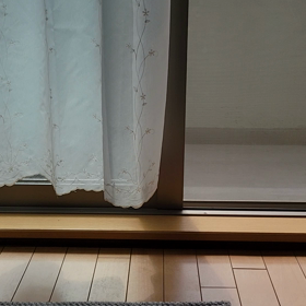 まだ欲しくないの画像