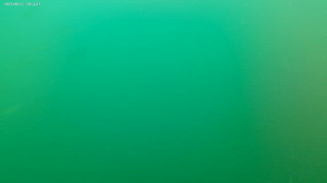 ノーホームランの記事動画