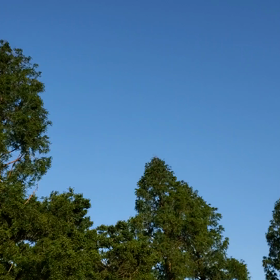 2022/05/03の画像