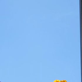 2022/05/27の画像