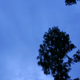 2022/05/15の画像