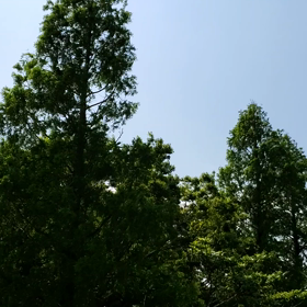 2022/05/01の画像