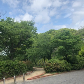 歌の画像