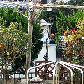 朝から賑わってます♪の画像