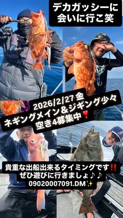 27日ネギング募集します‼️の記事動画