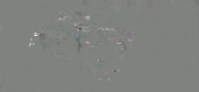 モルディブ共和国へ✨ホワイトぐみの記事動画