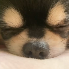 これです☆の画像
