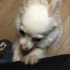 動画撮ると止めるの？(^ ^)の画像