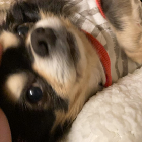 間違えて動画だったやつの画像