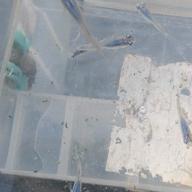 朝と昼と夜、！！！の画像