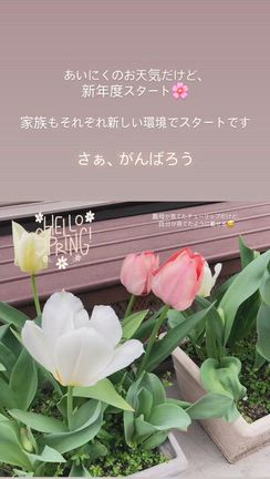 エイプリルドリームの記事動画