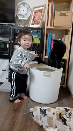 オーダーの記録の記事動画