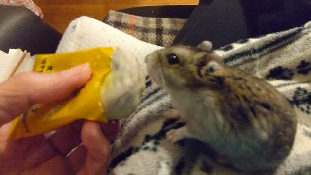 青天の霹靂の記事動画