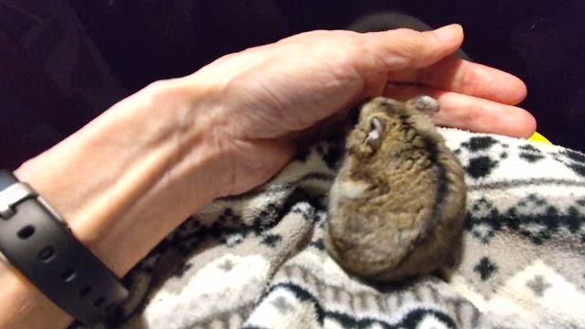 フードロス削減に貢献 1の記事動画
