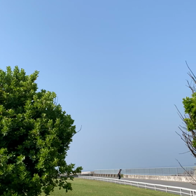 GWの画像