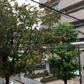ひどくなってきましたね、、、お教室の外はこんな感じ(;_;)の画像