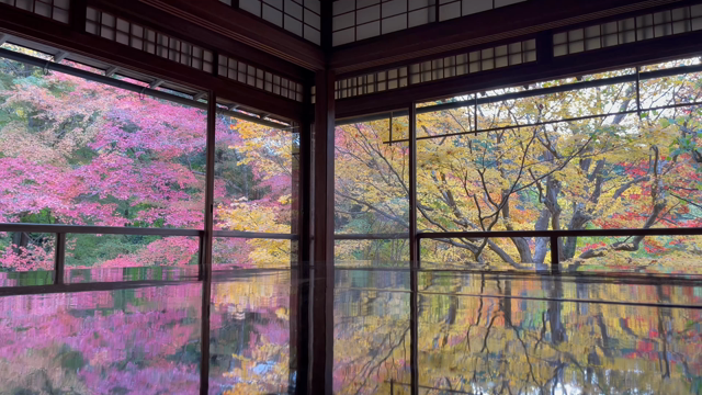 紅葉の京都♪２日目その2（瑠璃光院）の記事動画