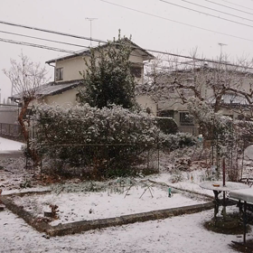 雪でーすの画像