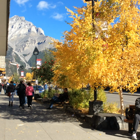 お好み焼きを食べ過ぎての画像