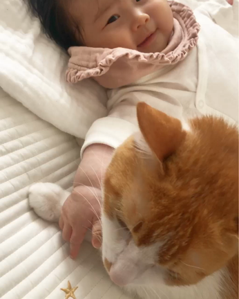 そら7歳つむぎ4ヶ月の記事動画