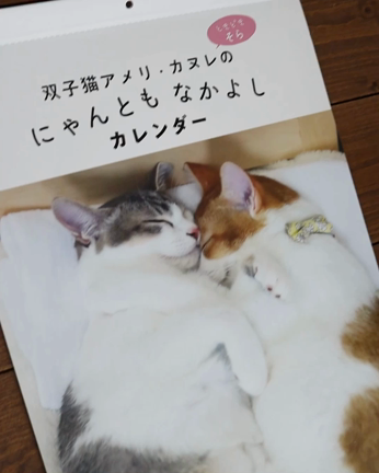 2022年3ニャンカレンダー発売のお知らせの記事動画