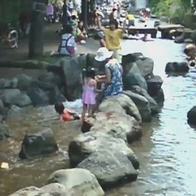 一之江境川親水公園の昼下がり2007年の画像