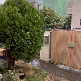 雪の画像