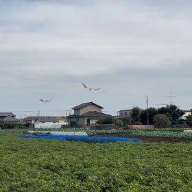 お礼参りの画像