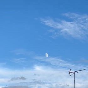 月見る秋の画像