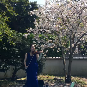お花見演奏動画の画像